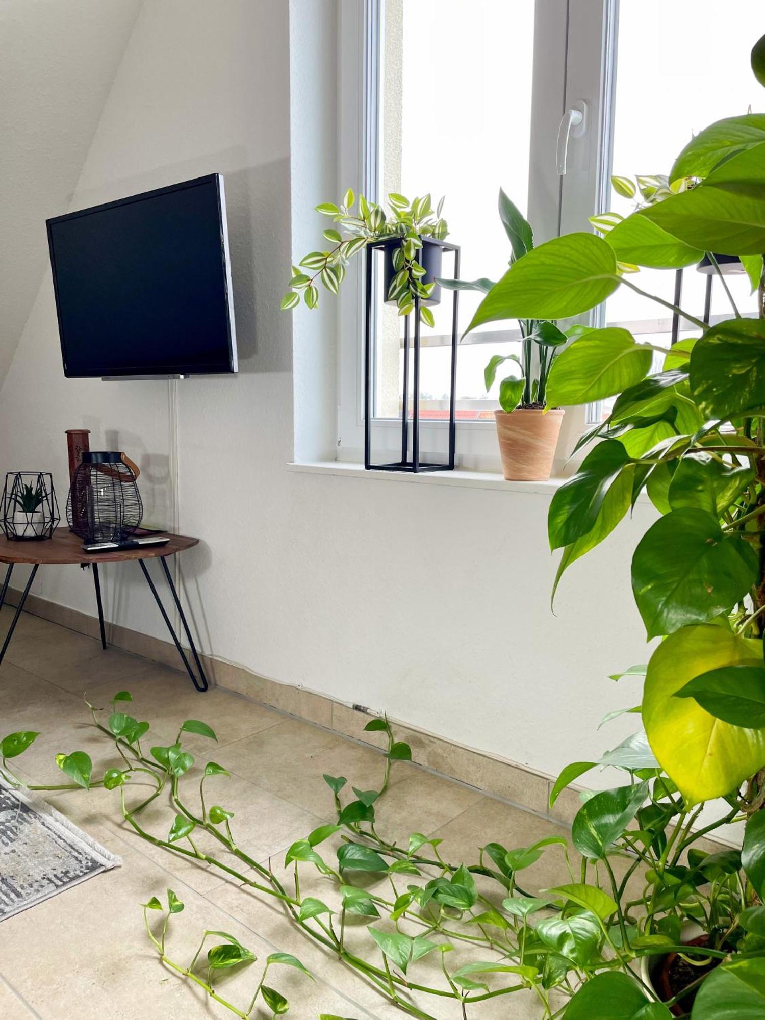 Ahaus: Stadtoase Mit Terrasse & Privater Garage Ngoại thất bức ảnh